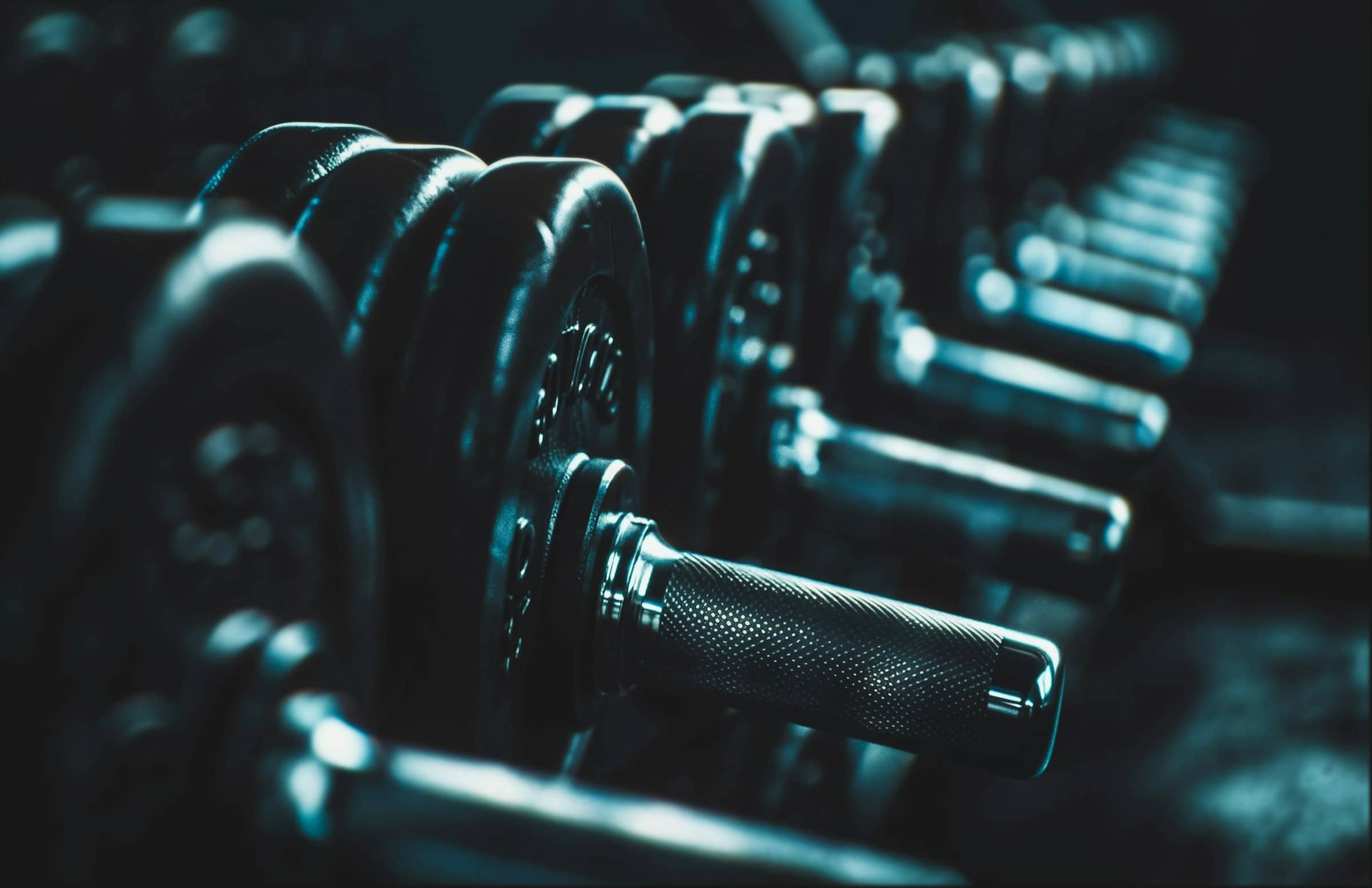 Push-Pull-Legs oder Ganzkörper: Was passt zu dir?