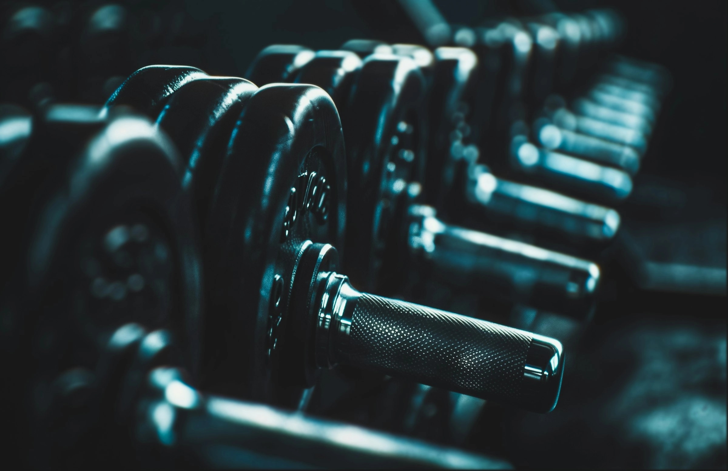Push-Pull-Legs oder Ganzkörper: Was passt zu dir?
