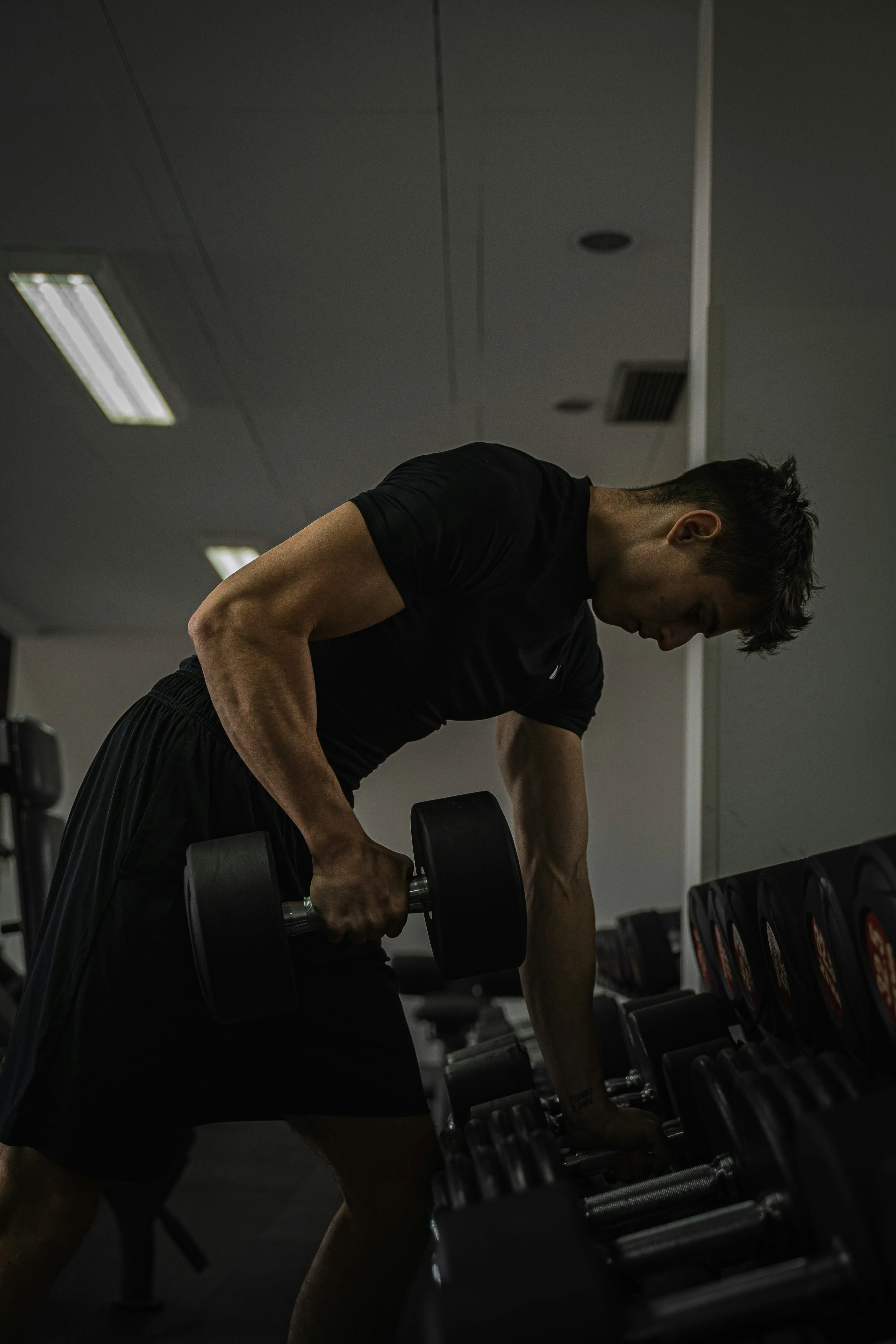 EMS und Protein für Muskelaufbau?