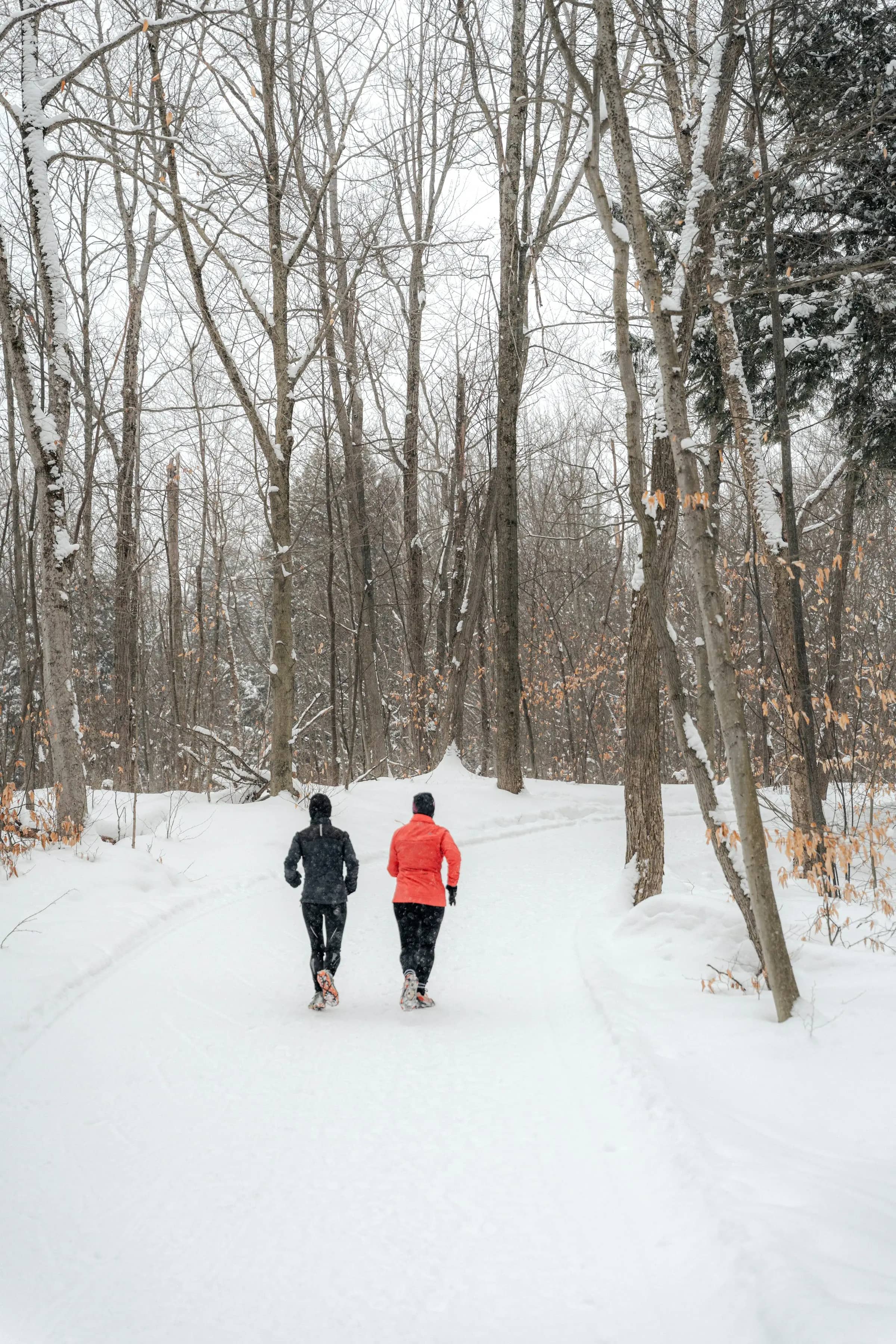 Winter Arc im Fitness: Hilft der Trend dranzubleiben?