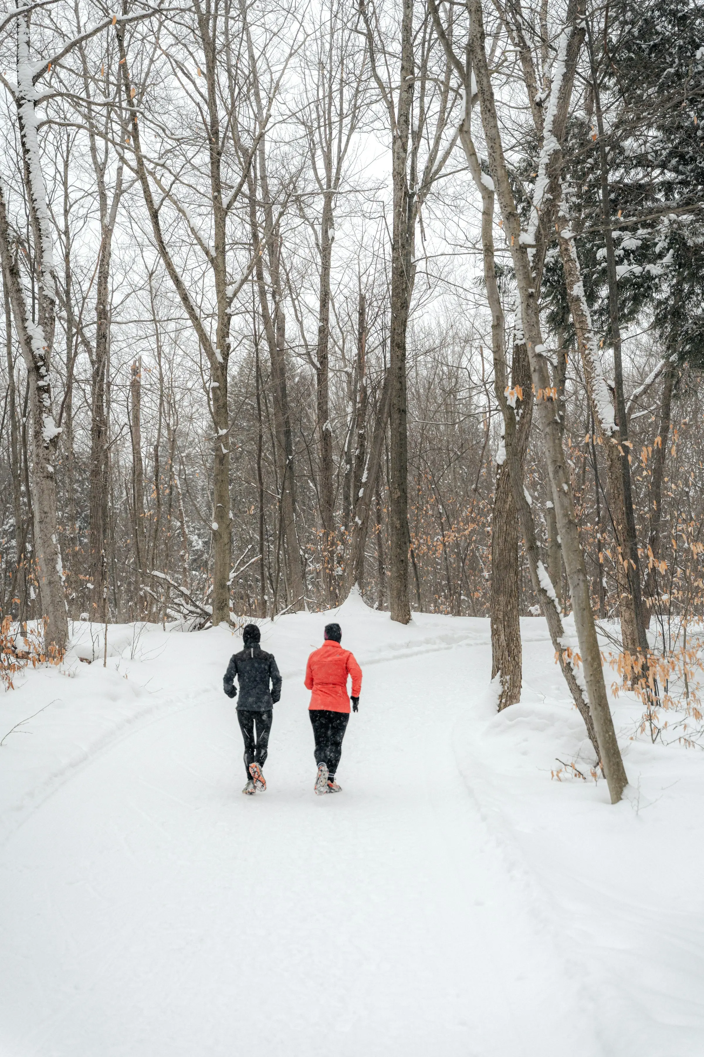 Winter Arc im Fitness: Hilft der Trend dranzubleiben?